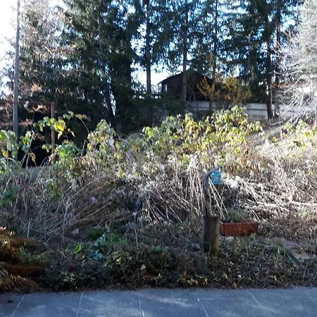 Your Secret Garden In The Center Of Crans-montana! * Crans-Montana