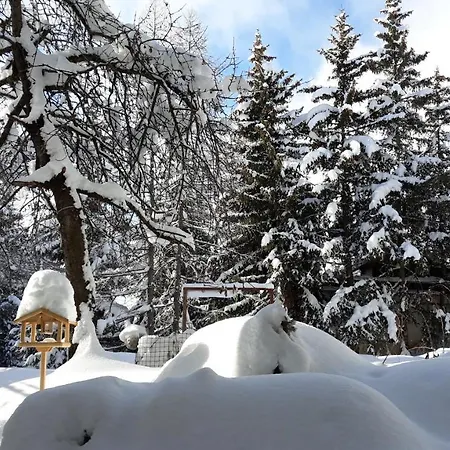 Apartment Your Secret Garden In The Center Of Crans-montana!